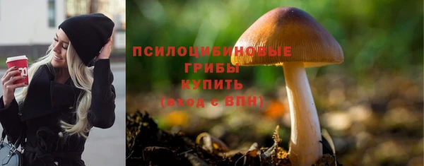 apvp Алзамай