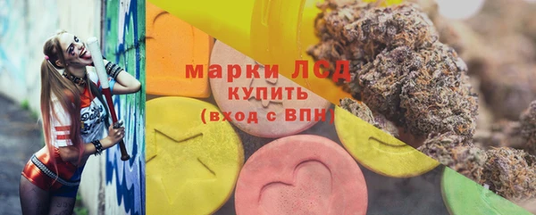 apvp Алзамай