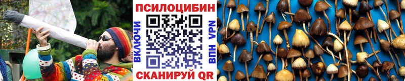 Псилоцибиновые грибы прущие грибы  купить закладку  Вилючинск 